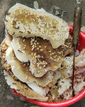 প্রাকৃতিক চাকের মধু