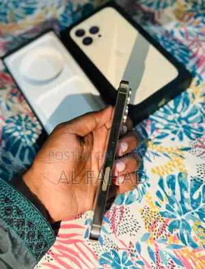 Apple iPhone 13 Pro (ব্যবহৃত)