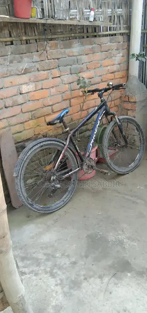 Bicycle for Sale