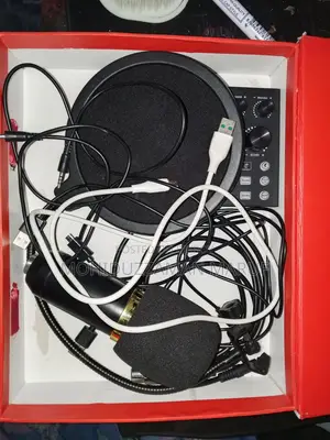 BM800 Microphone with Sound Card