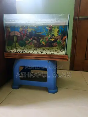 Aquarium For Sale
