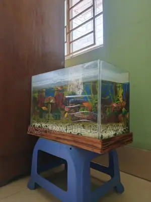 Aquarium For Sale