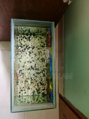 Aquarium For Sale