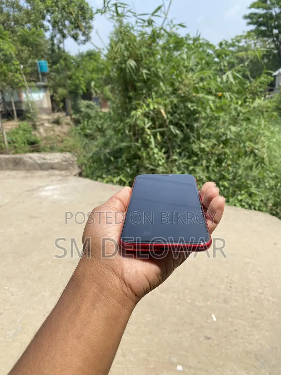 Apple iPhone 11 (Used)