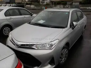 Toyota Axio Ex Non Hybrid Silver 2020