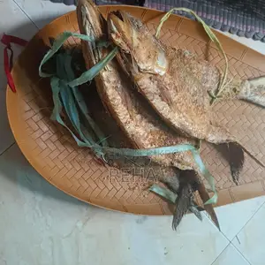 Nona Ilish