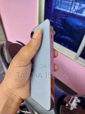 Apple iPhone 13 Pro (Used)