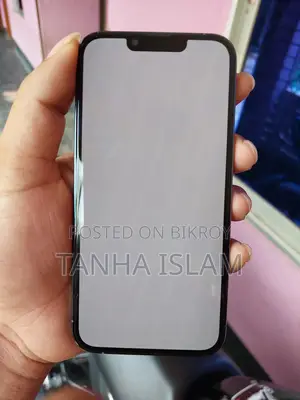 Apple iPhone 13 Pro (Used)
