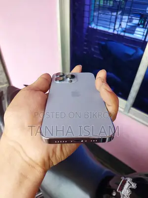 Apple iPhone 13 Pro (Used)