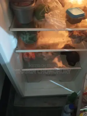 Lg Refrigerator