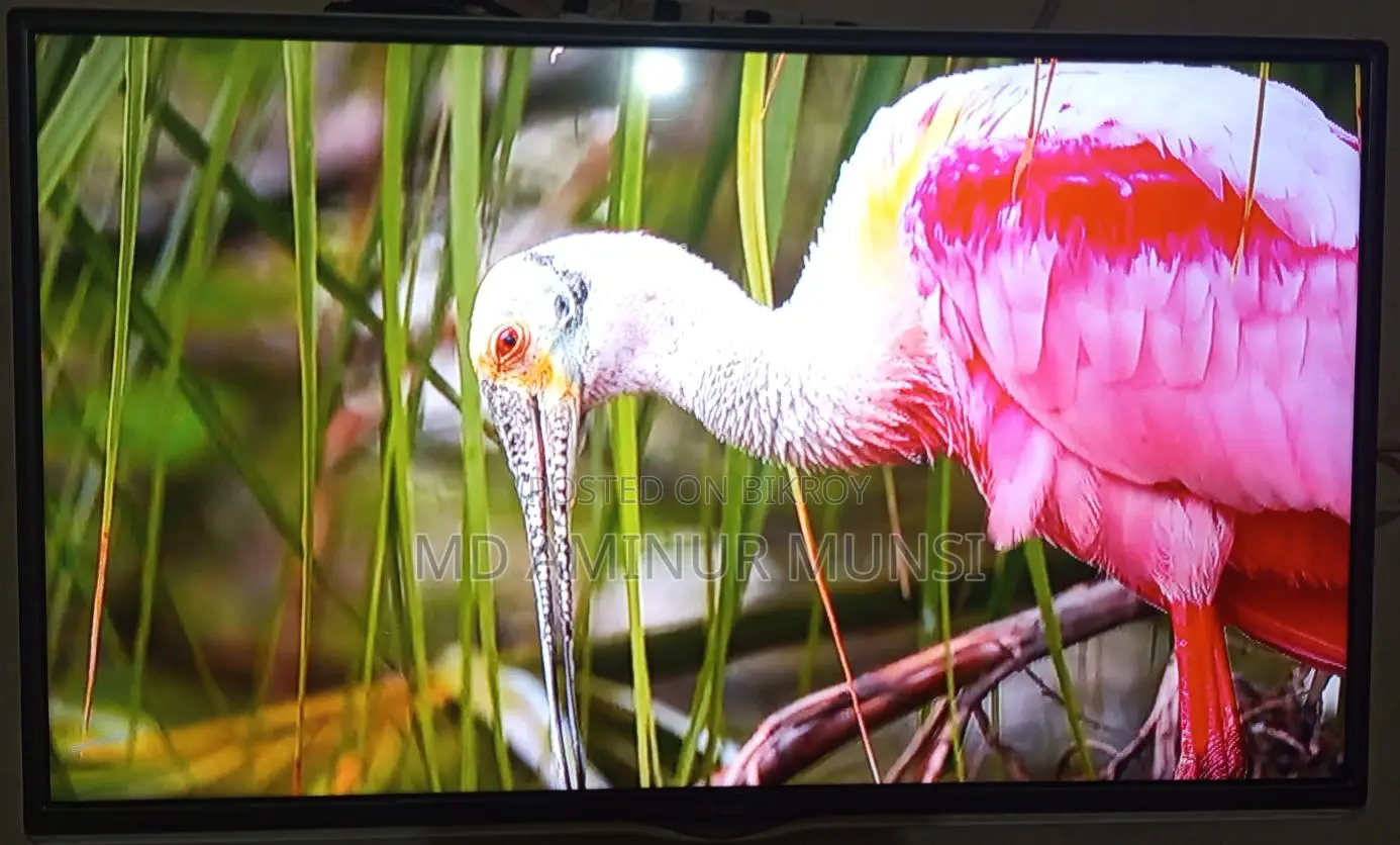 Tv বিক্রি করব