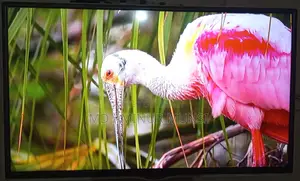 Tv বিক্রি করব