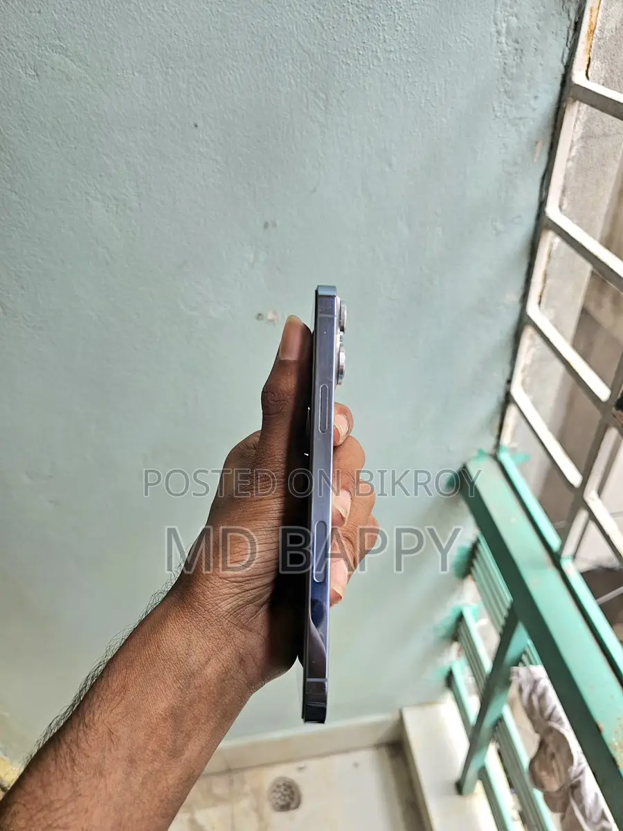Apple iPhone 13 Pro Max 128 GB (Used)