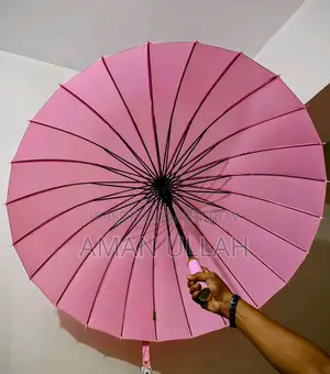 ছাতা ২৪ শিখের