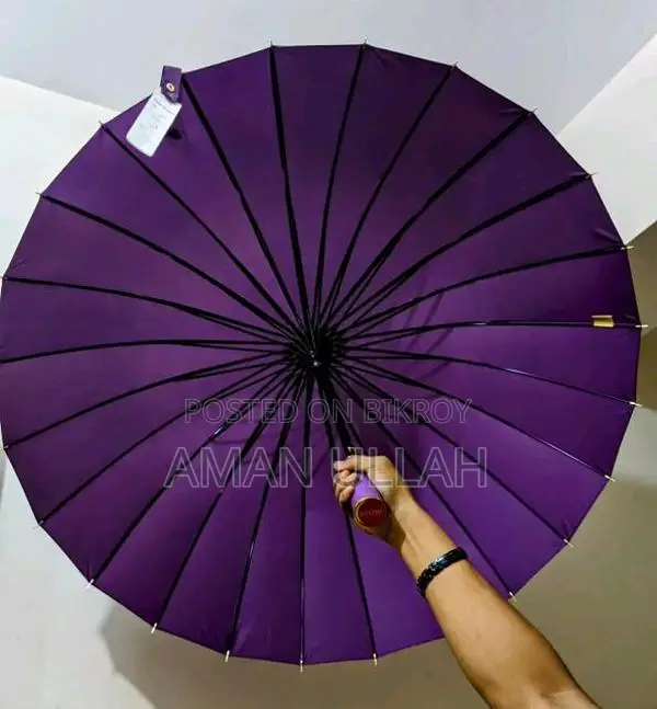 ছাতা ২৪ শিখের