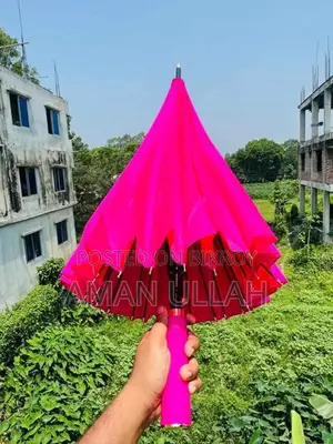 ছাতা ২৪ শিখের