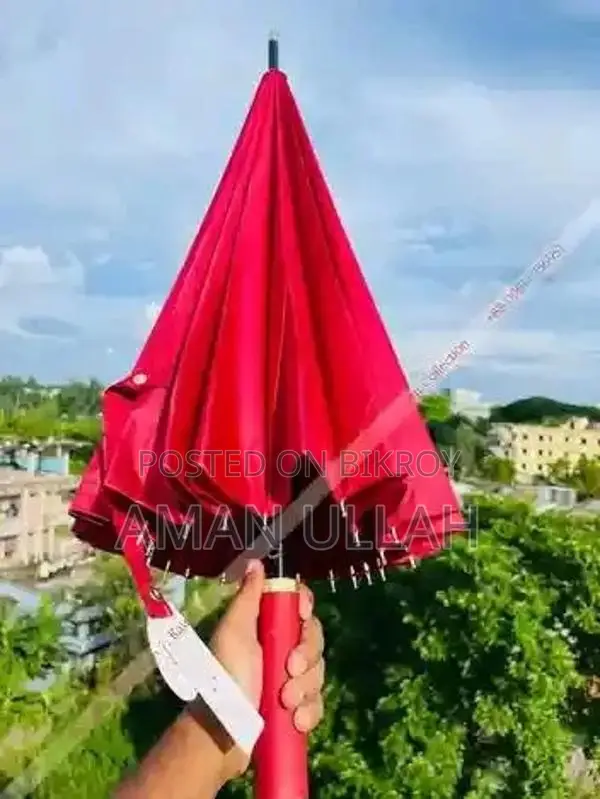 ছাতা ২৪ শিখের