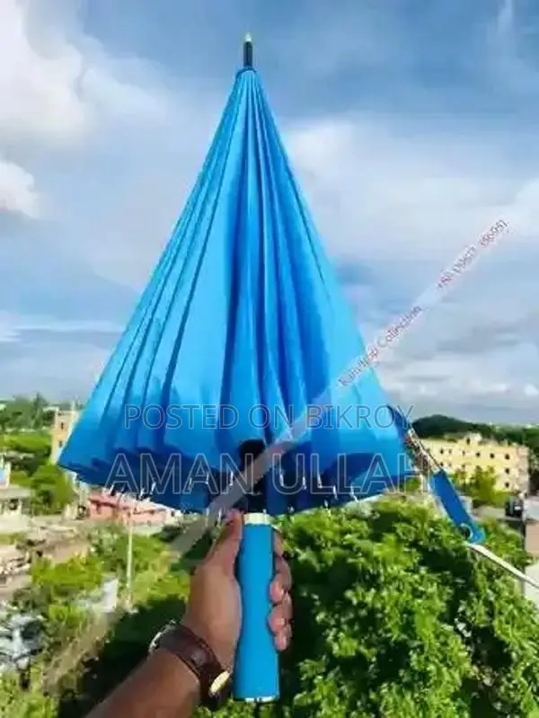ছাতা ২৪ শিখের