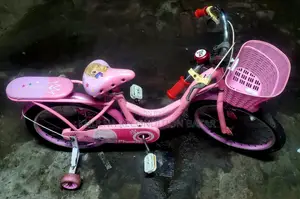 Phoenix 20 Size Baby Cycle