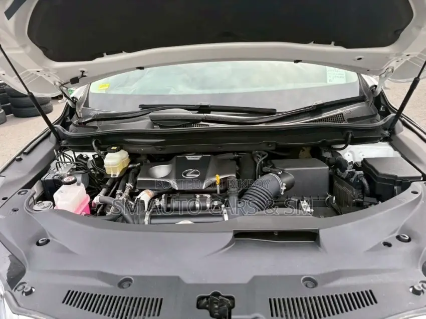 লেক্সাস আরএক্স ২০২২ পার্ল
