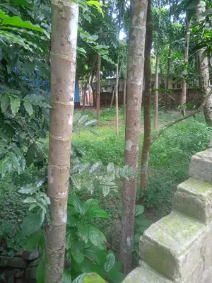 Rajbari Sadar – 12 Decimal Land for Sale in Prime Location with Road Access