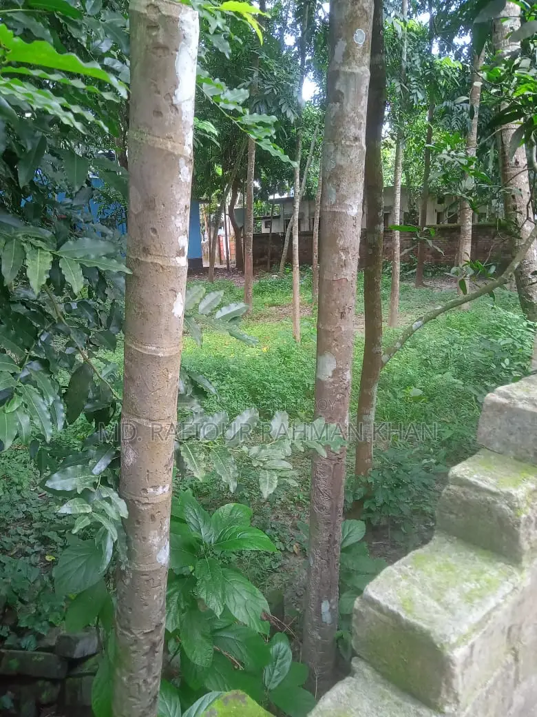 Rajbari Sadar – 12 Decimal Land for Sale in Prime Location with Road Access