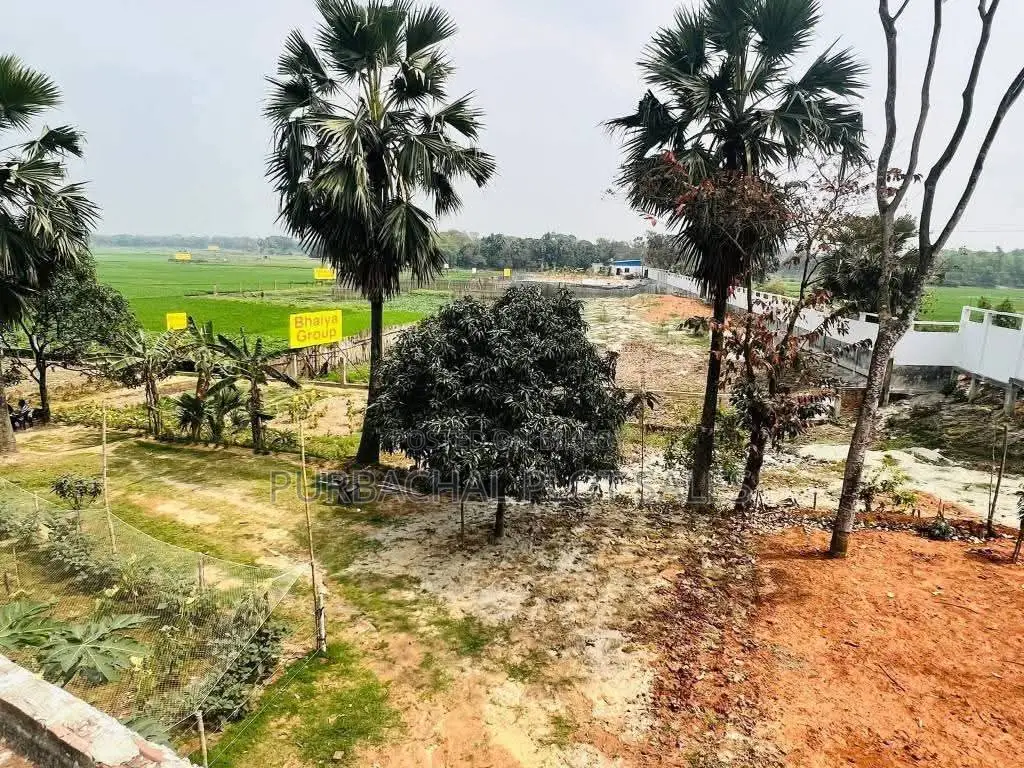 Buy a plot! Right next to Purbachal! Pine City!
