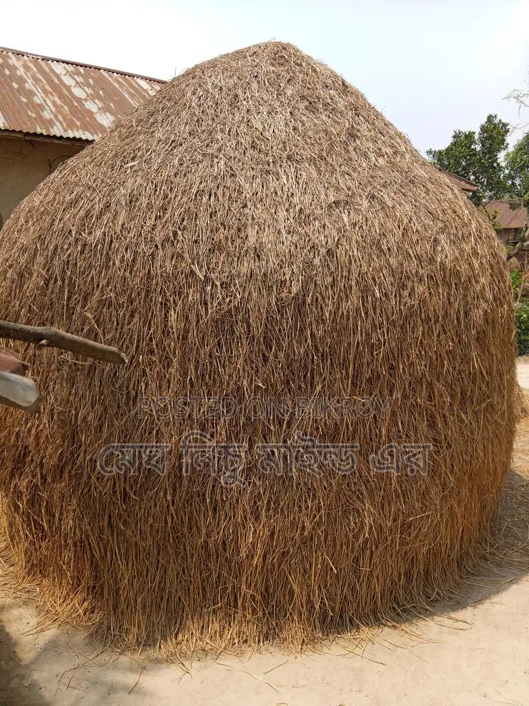 Straw for Sale