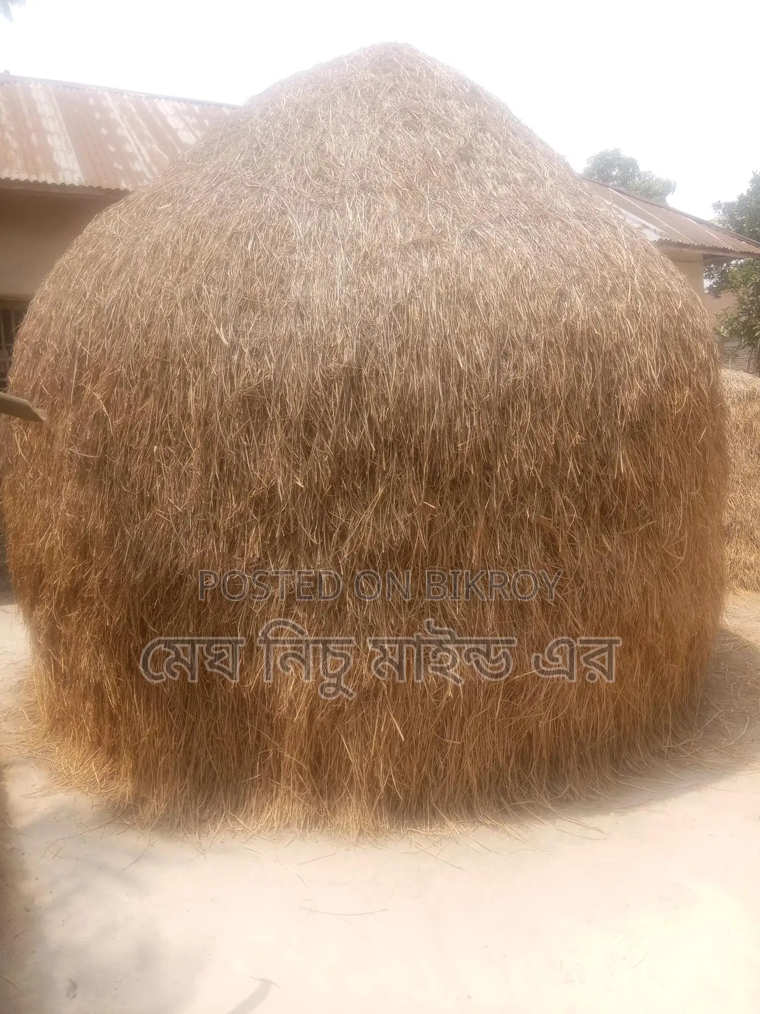 Straw for Sale
