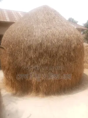 Straw for Sale