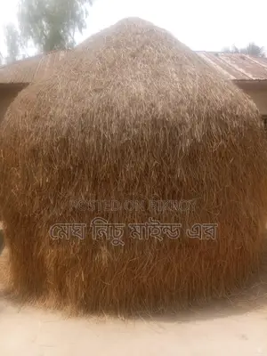 Straw for Sale