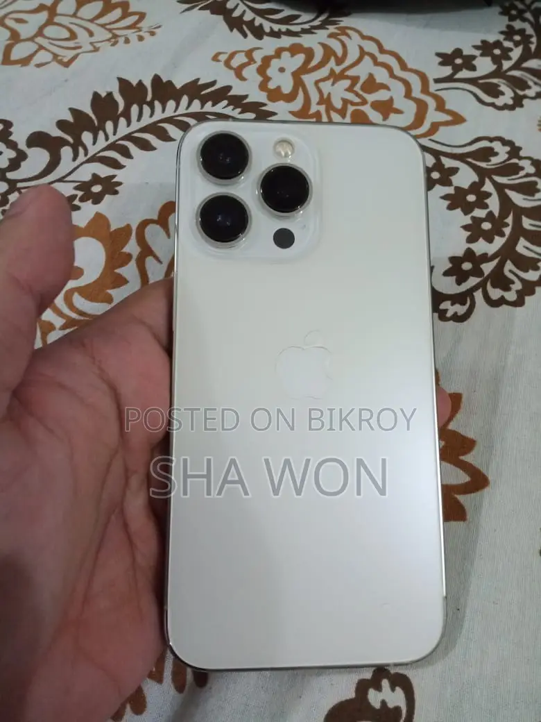 অ্যাপল আইফোন ১৩ প্রো (ব্যবহৃত)
