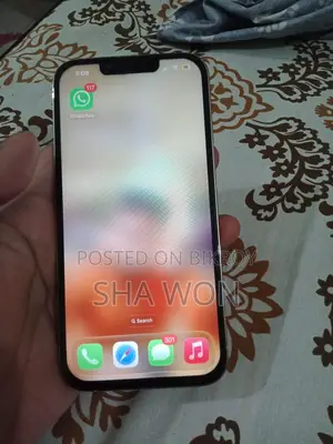 অ্যাপল আইফোন ১৩ প্রো (ব্যবহৃত)
