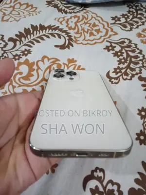 অ্যাপল আইফোন ১৩ প্রো (ব্যবহৃত)