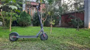 স্মার্ট Electric Kick Scooter