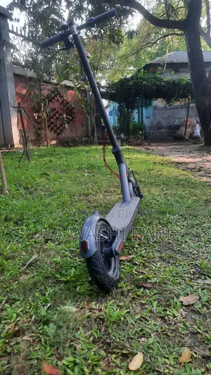 স্মার্ট Electric Kick Scooter