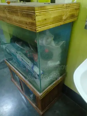 ২.৬ ফিট একুরিয়াম