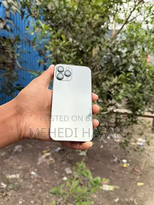Apple iPhone 12 Pro (Used)