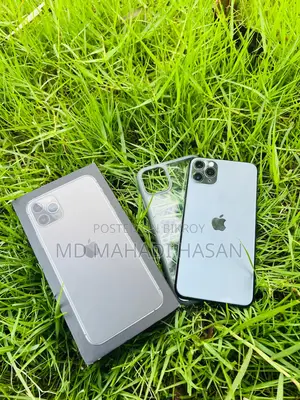 Apple iPhone 11 Pro Max 64 gb with box (Used)