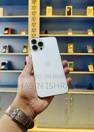 Apple iPhone 13 Pro Max (Used)