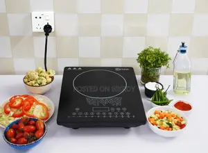 E-cook Induction চুলা