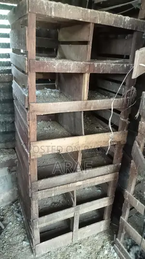 কবুতরের ঘর