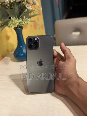 Apple iPhone 12 Pro Max (ব্যবহৃত)