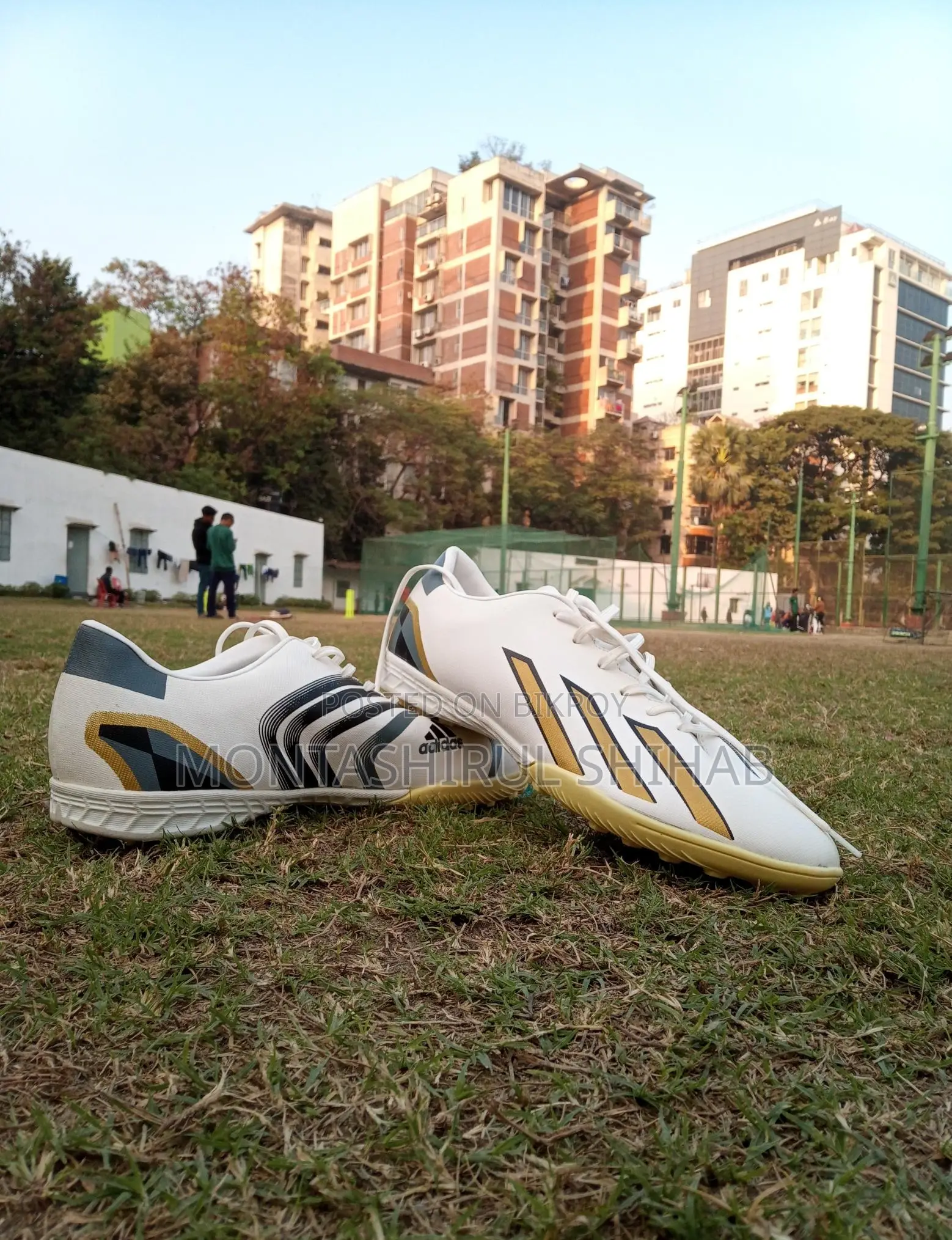 কমের ভিতর সেরা টার্ফ