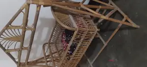 Swing