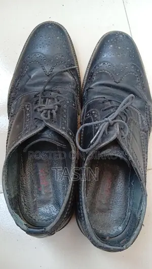 Apex Shoe for Sale at a Low Price