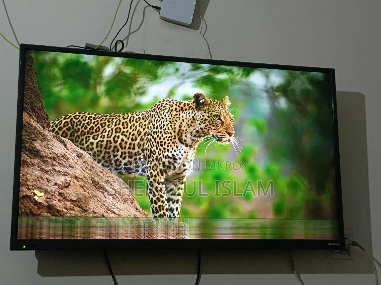 Walton TV