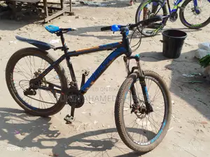 Phoenix Bicycle for Sale