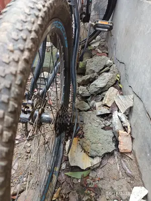 Focus Brand Gear Cycle
