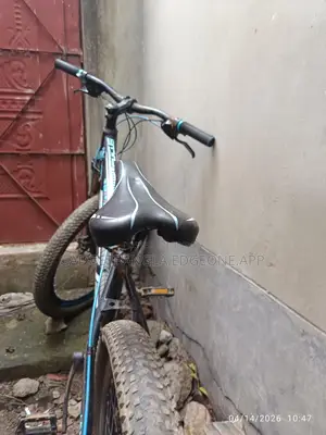 Focus Brand Gear Cycle